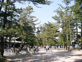 画像 063.jpg