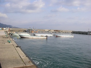 SANY0454.JPG