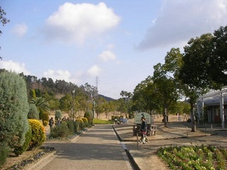 SANY0464.JPG